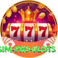 wasim Pro Slots